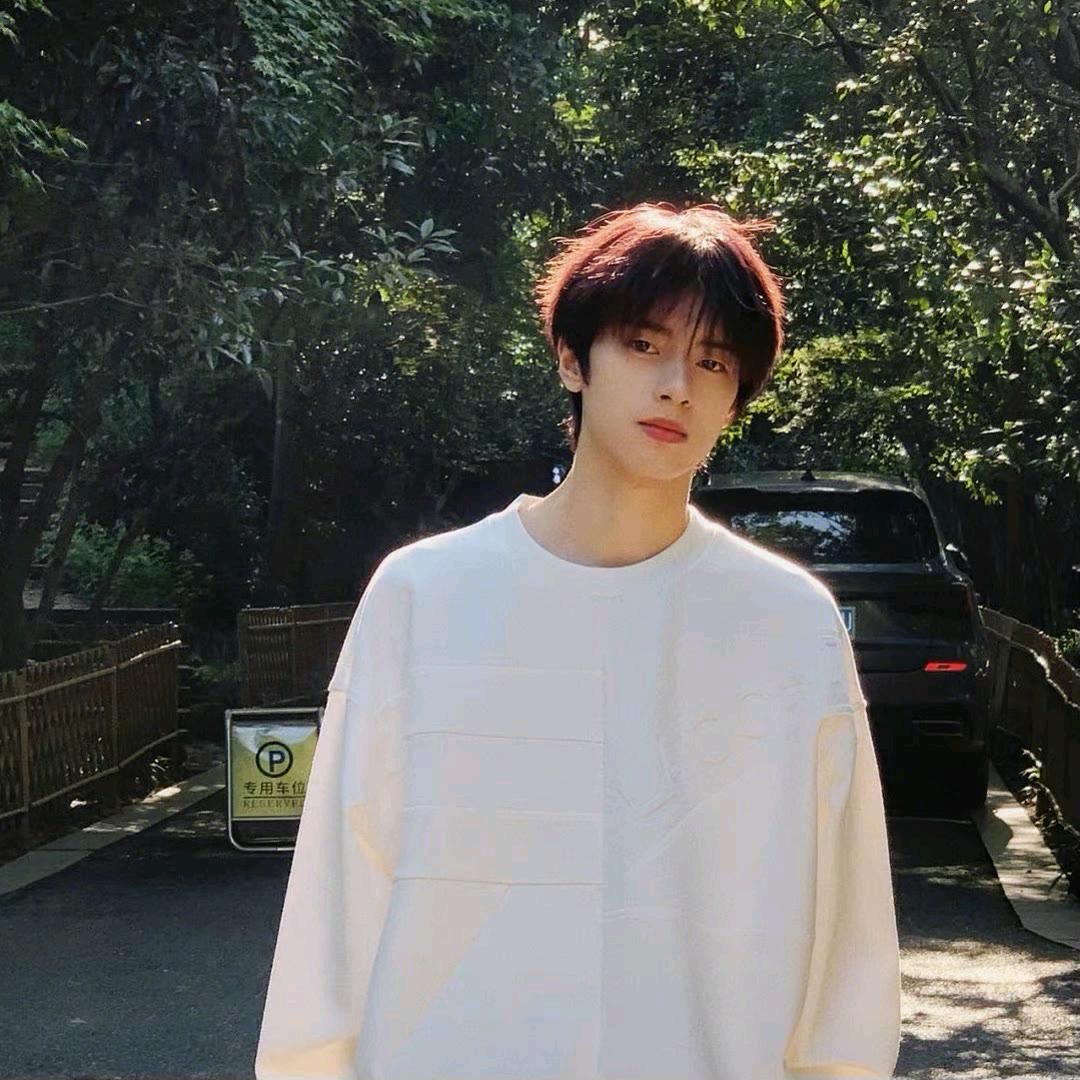 维摩诘的花雨满天