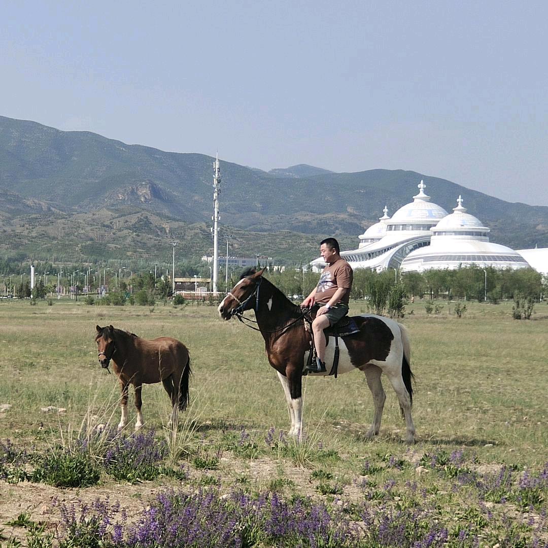 骑马看草原