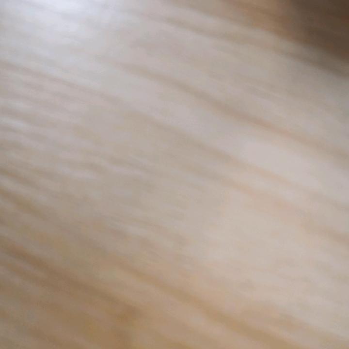 一生所爱（东）