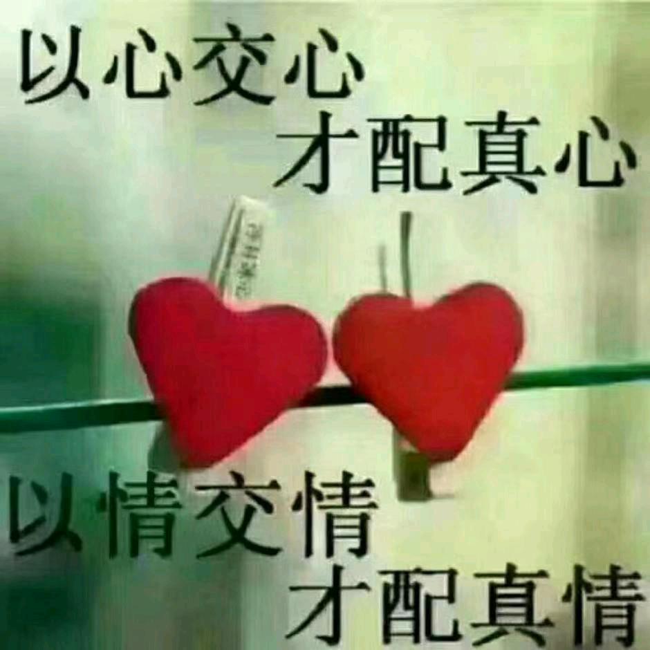 💞🐍宝💞🐍哥💞🐍