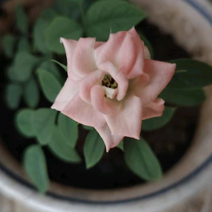 所有(时光)