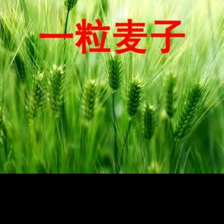 王芳