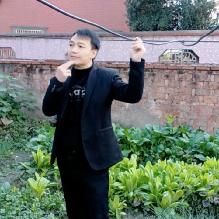 《杨哥》