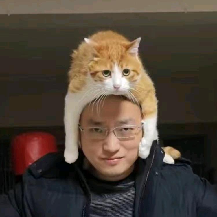 金蛋科技