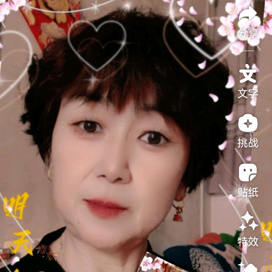 三秦巧娘金环面花
