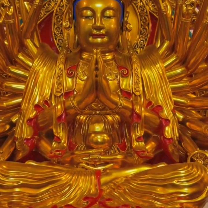 飞鹰水产多种产业