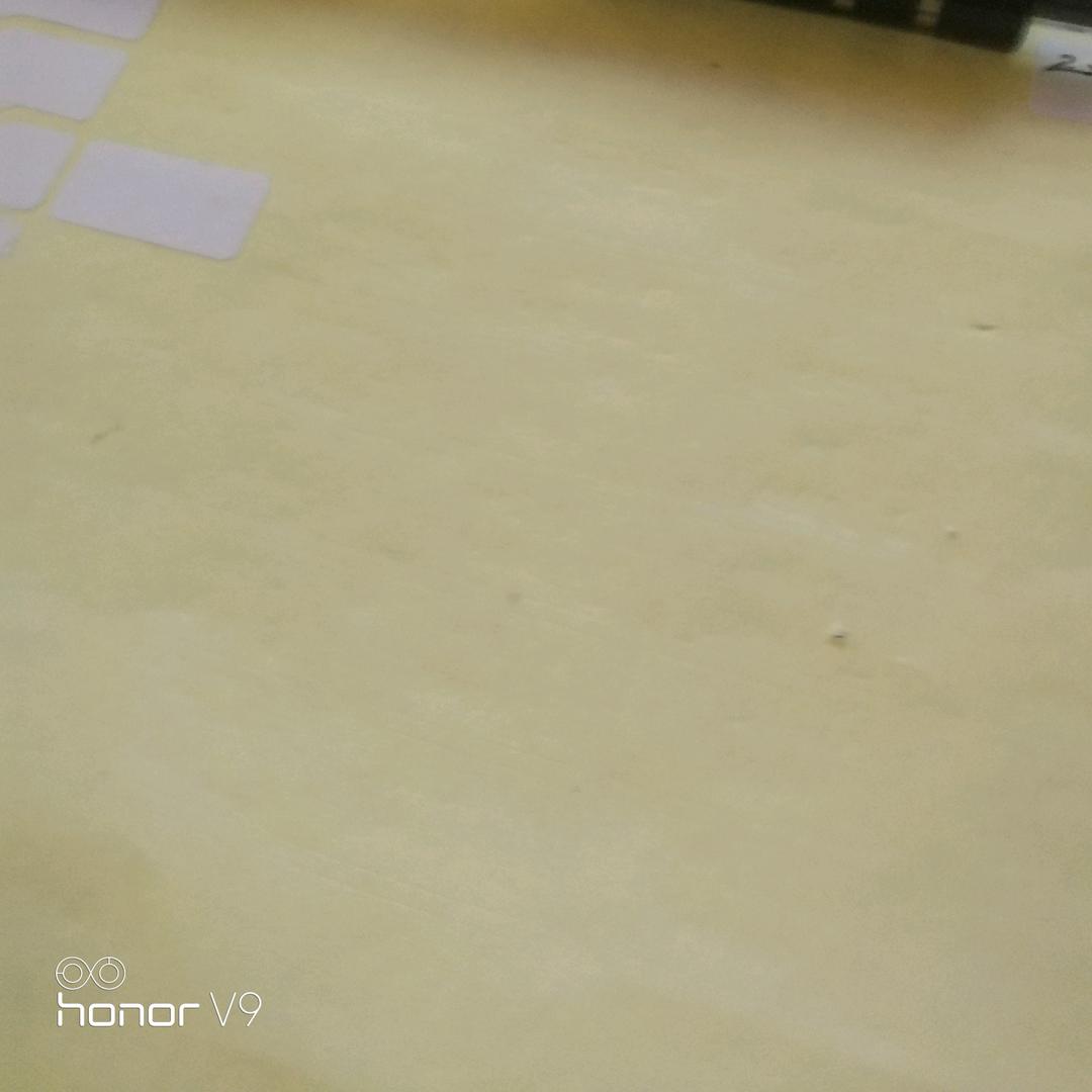 刘娜娜