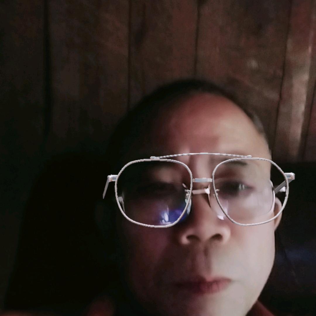 自由飞翔