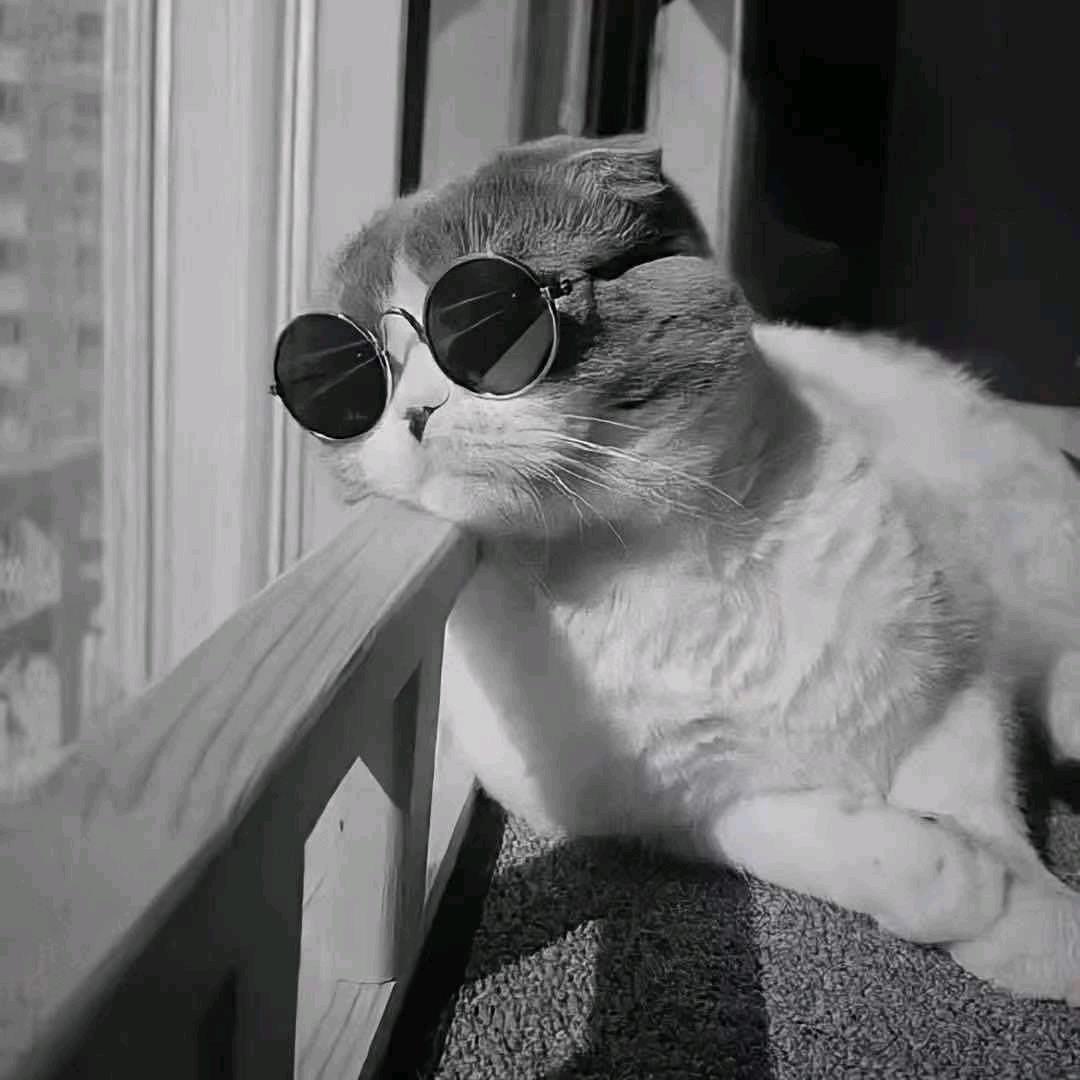 成了精的煤气罐💗