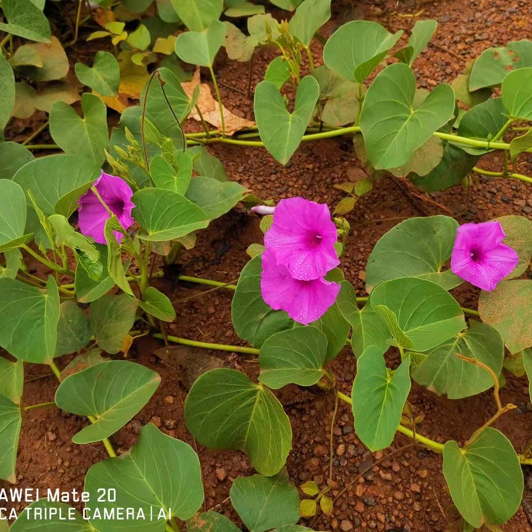艾格木全屋定制姜姐