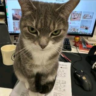 ㅤㅤㅤㅤㅤㅤㅤㅤ1