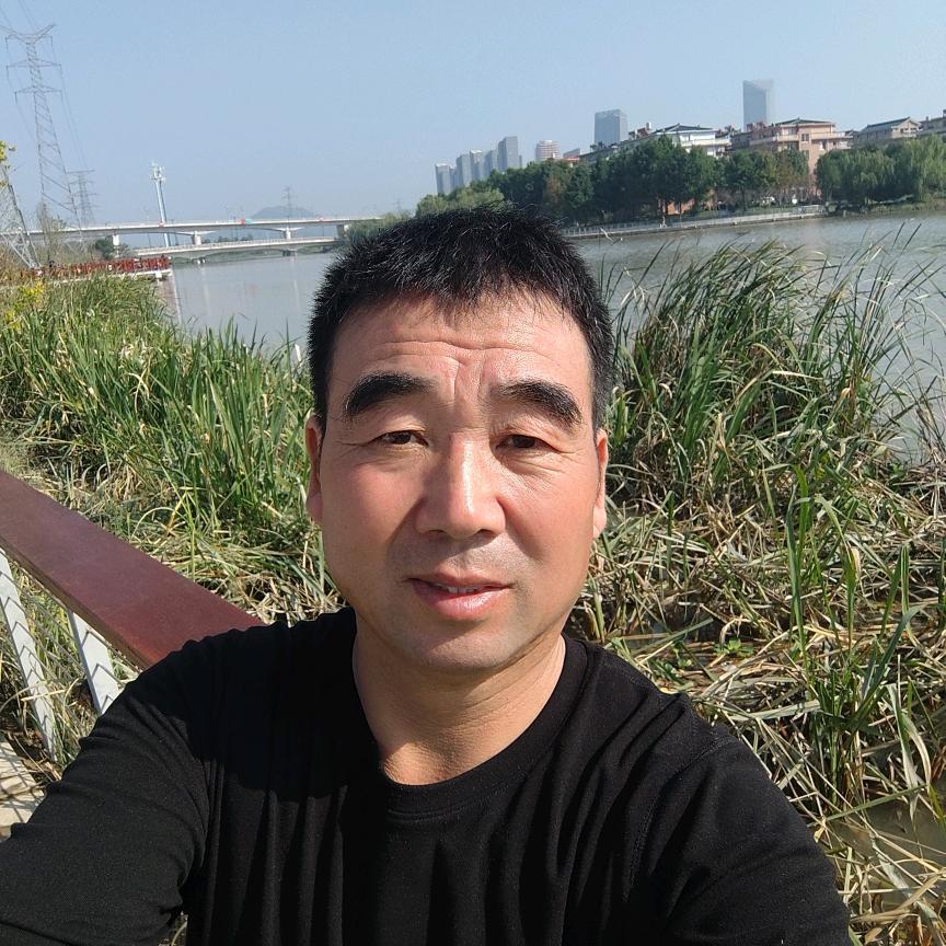 晨莫