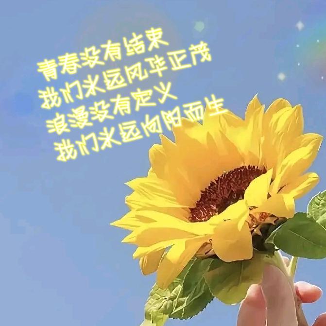 追梦如歌