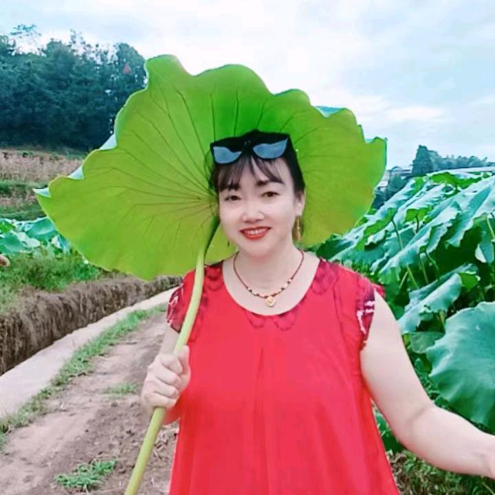小芹姐