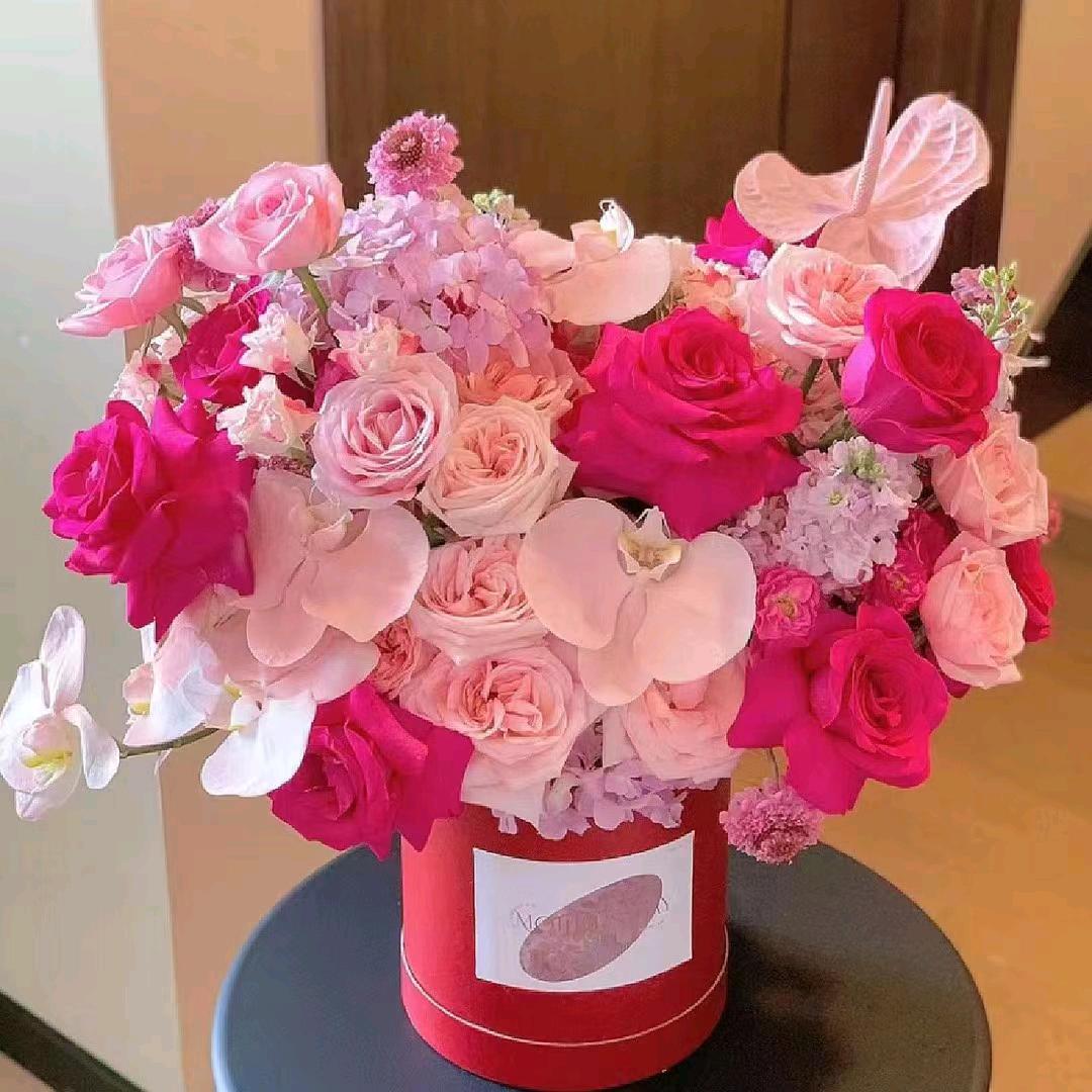 来娟【勿连赞】