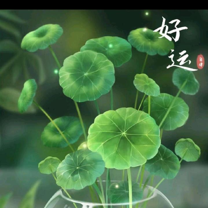 香草，