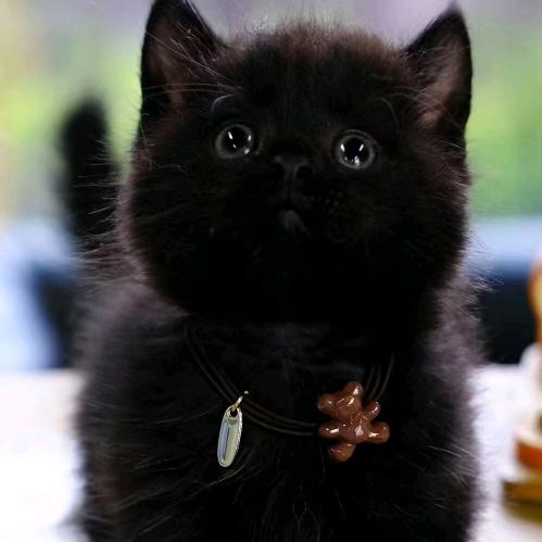 勇攀高峰潇洒一生