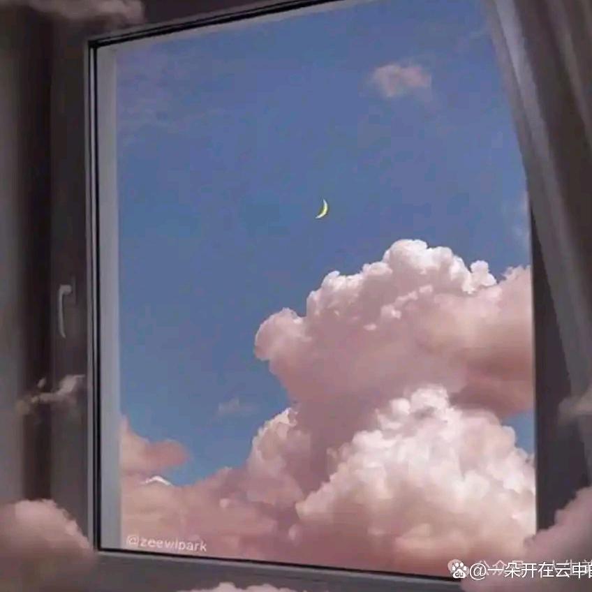 💞璀璨星辰🥀