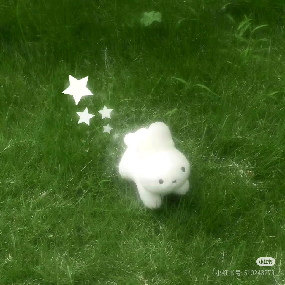 小七