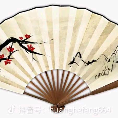 杨善民