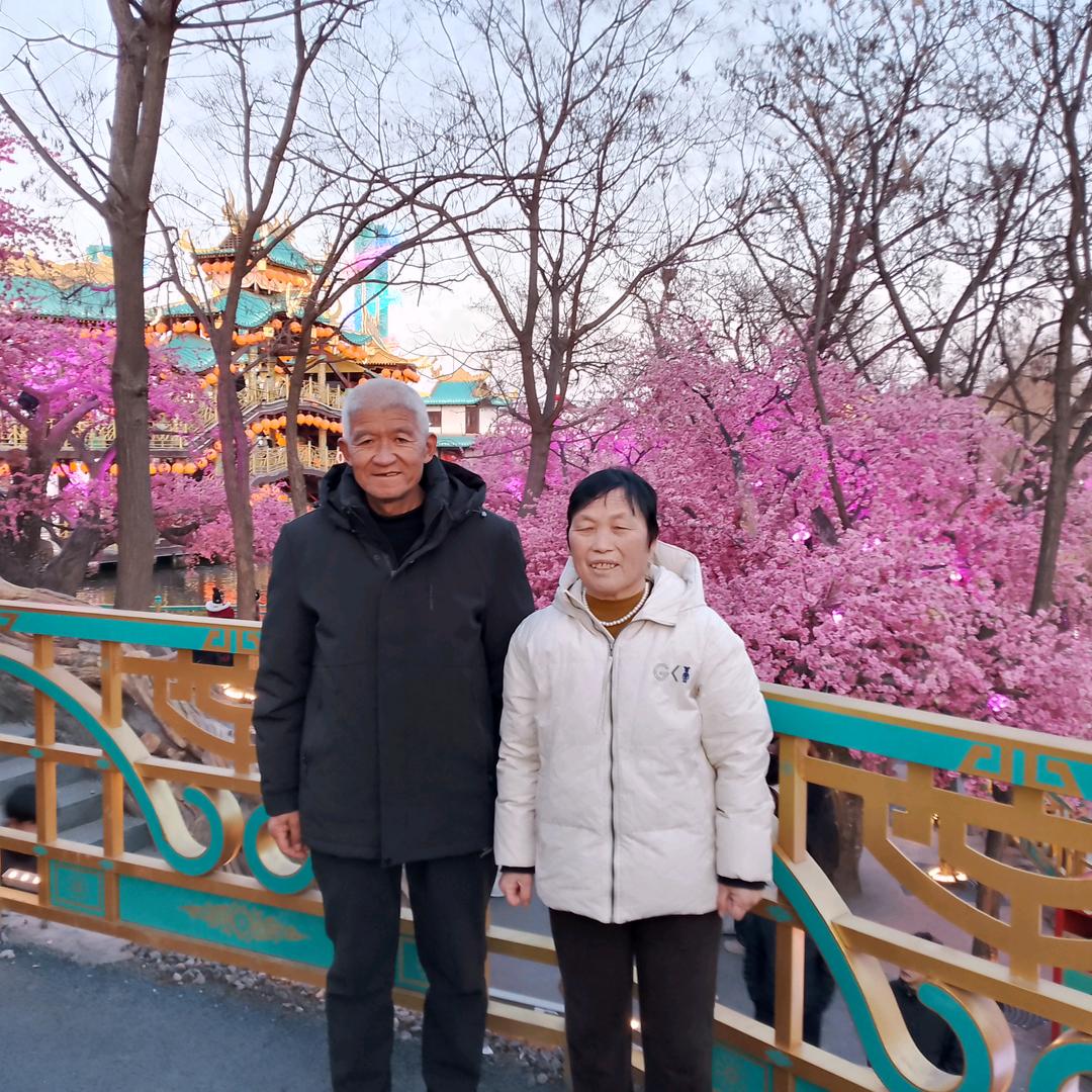 杨雪枝