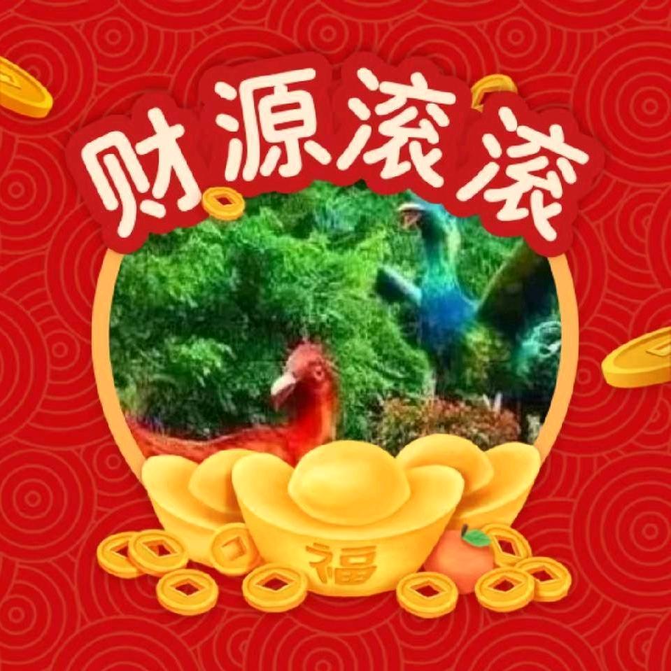 金侠