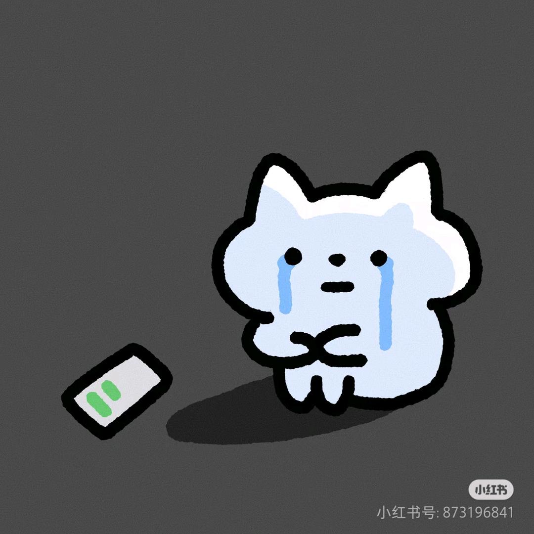 不上镜的小宇宙