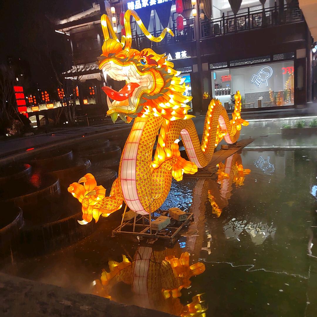 种好梧桐树，坐等凤凰来！