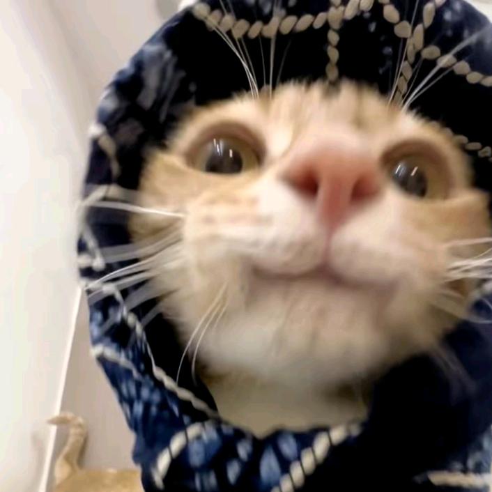 Hhhh