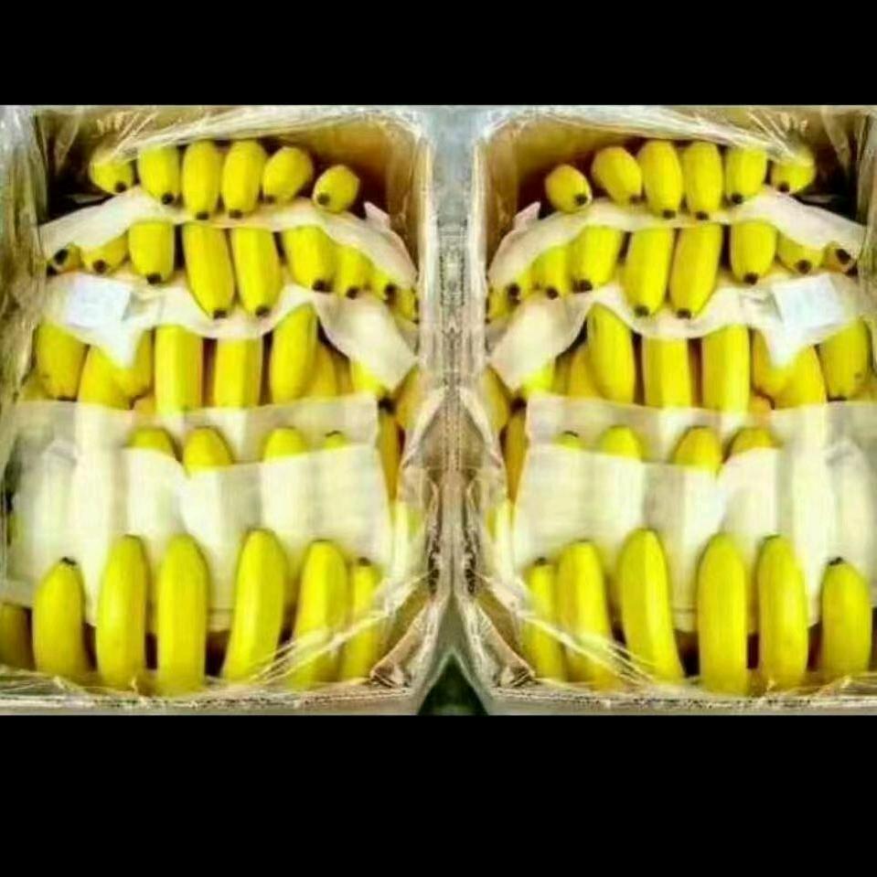 招财进宝 🍌🍌🍍🍍王进宝