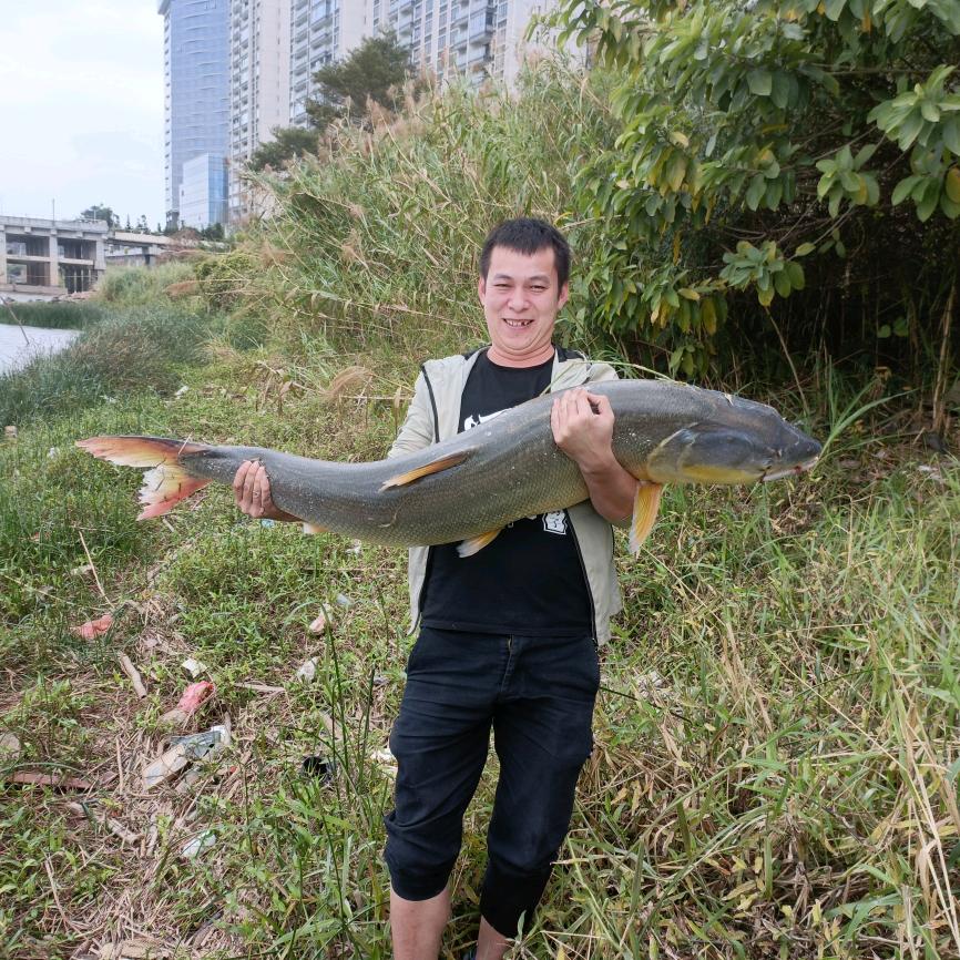 九江废品上门收