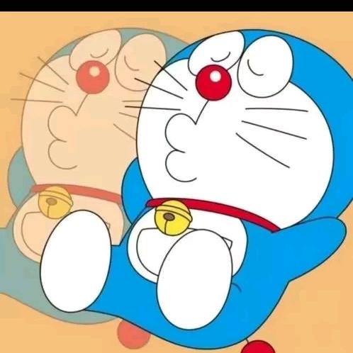 (她)