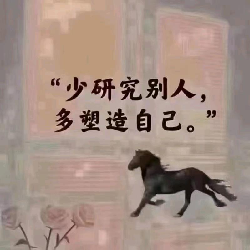 紫阳2019头像
