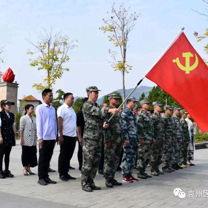 卓远能量砖老陈