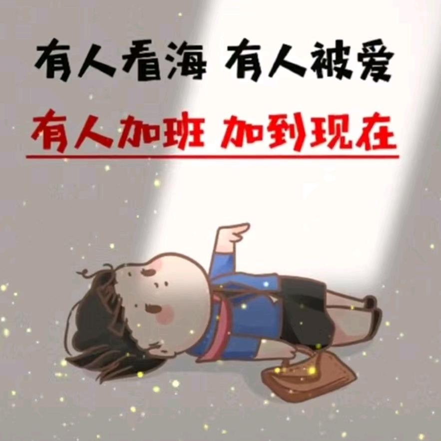 冰糖小葫卢