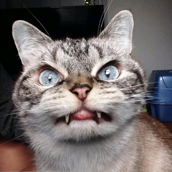 取个名字都这么困难