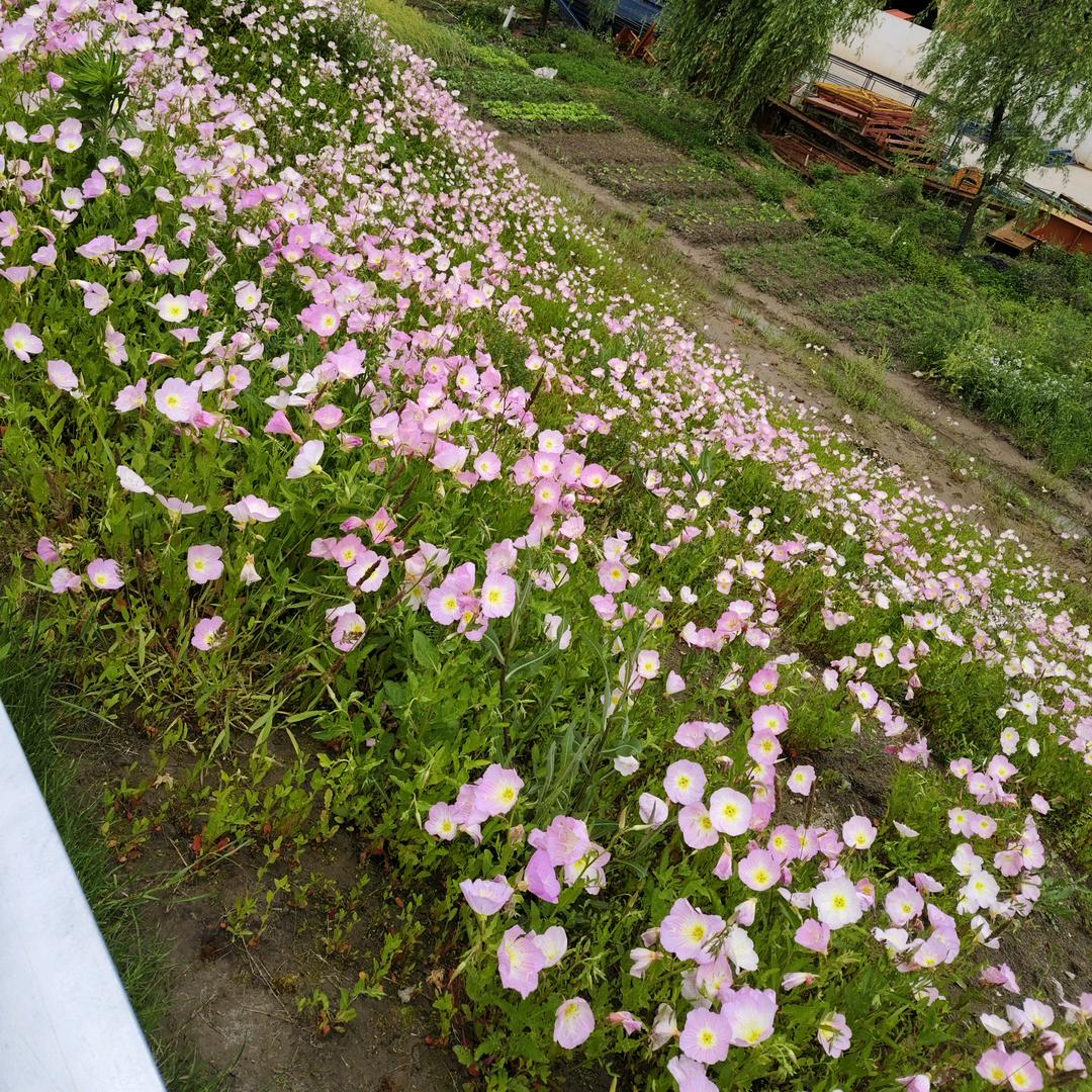 梦醒时分
