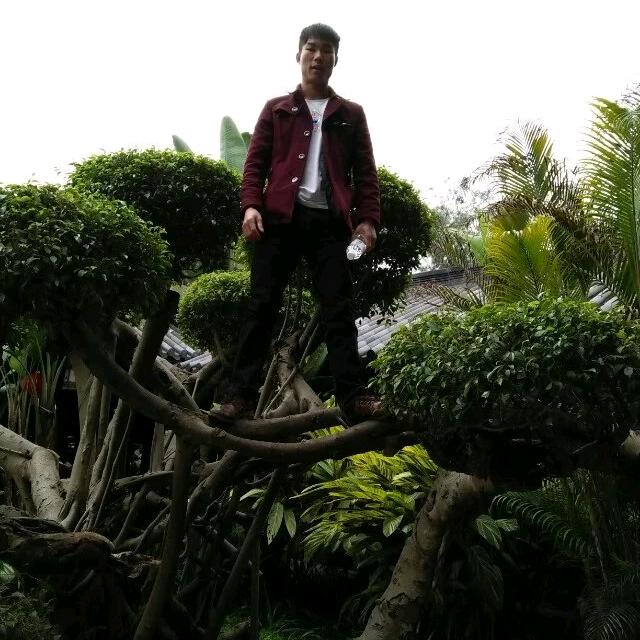 寮步， 狂奔小米