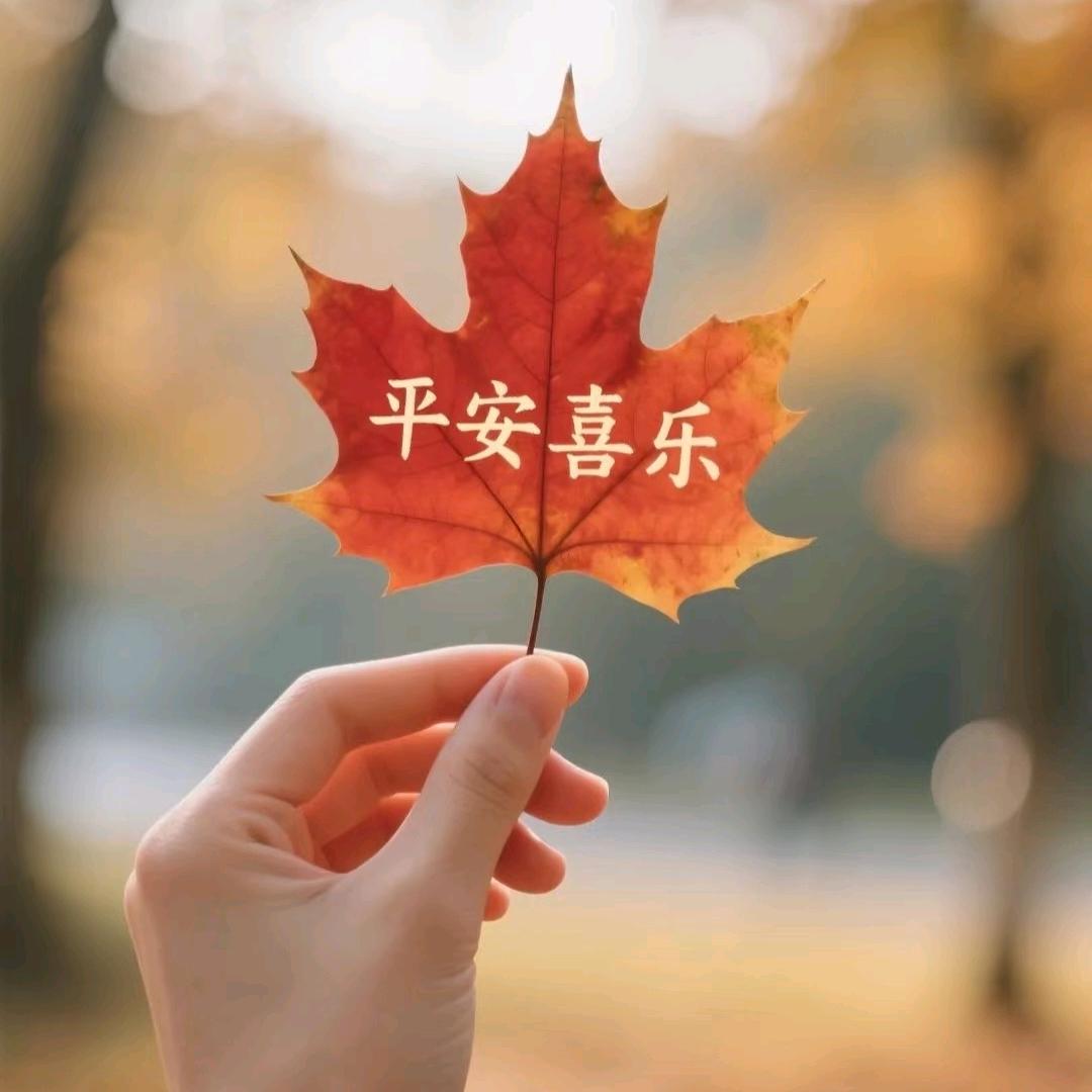 沈🦋元宝