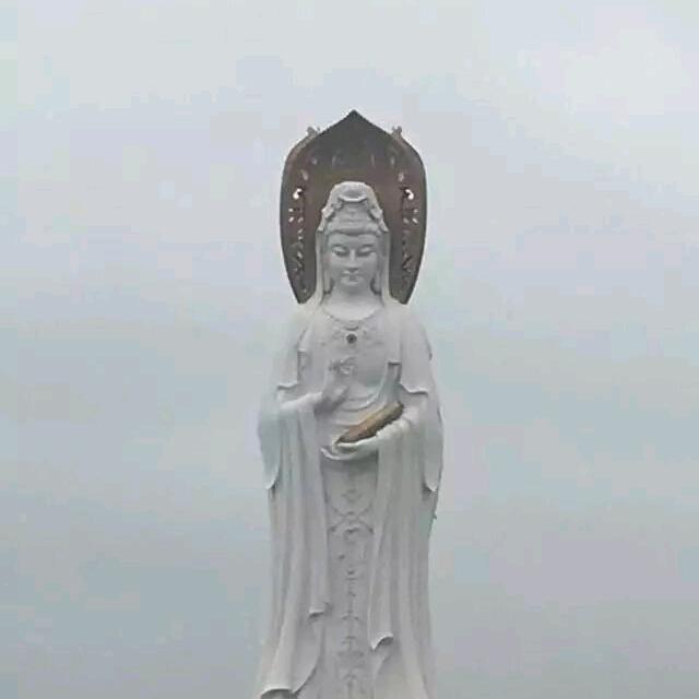 万物有缘