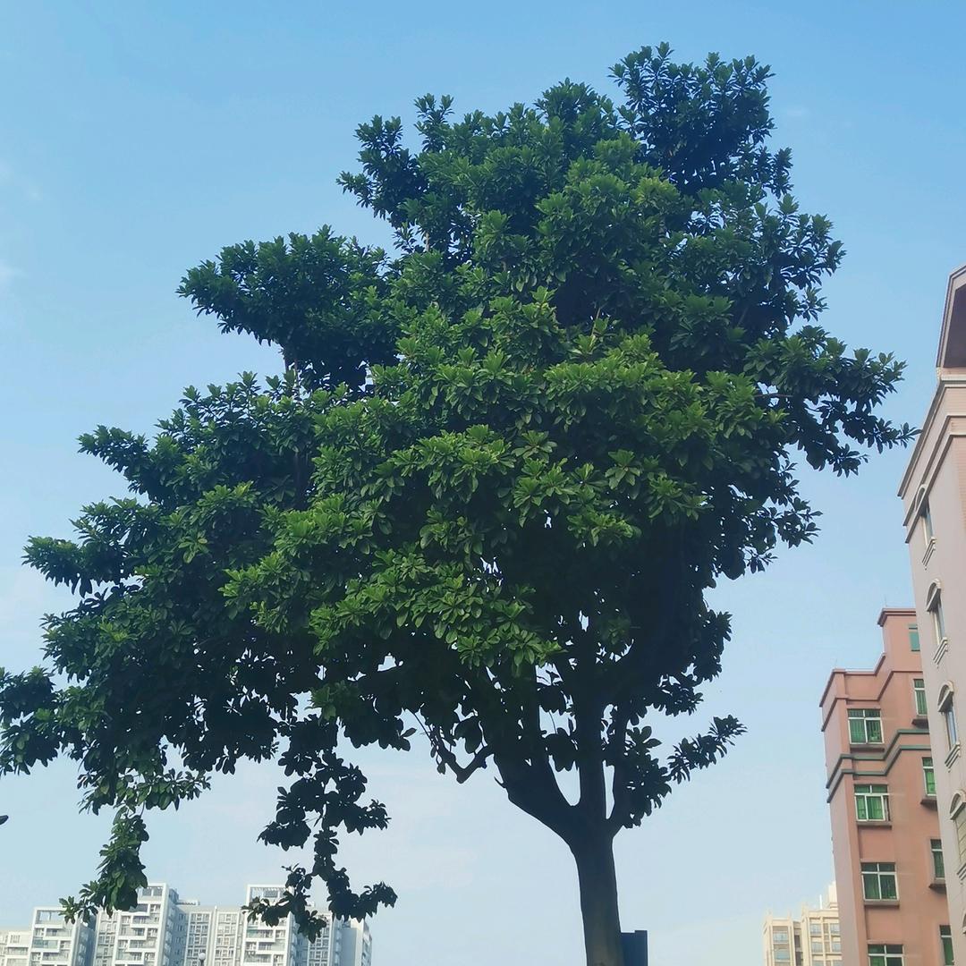 福气满满