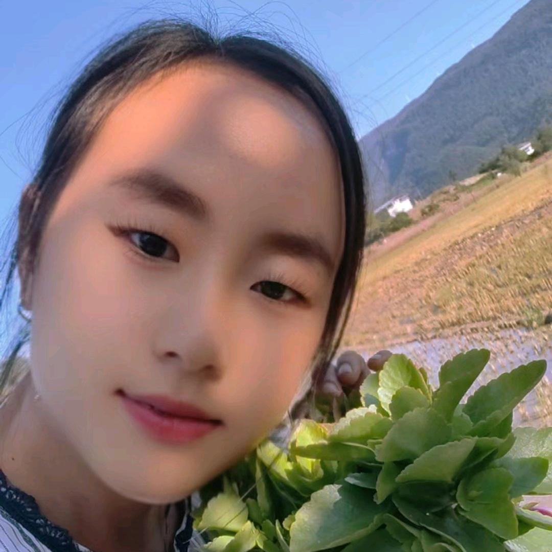 小金蛋