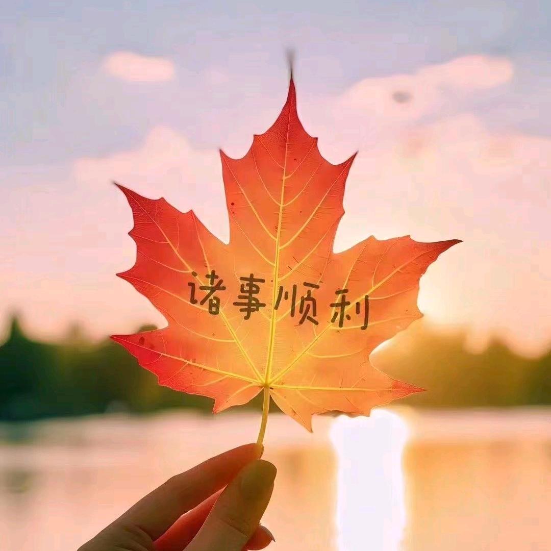 后❤️来