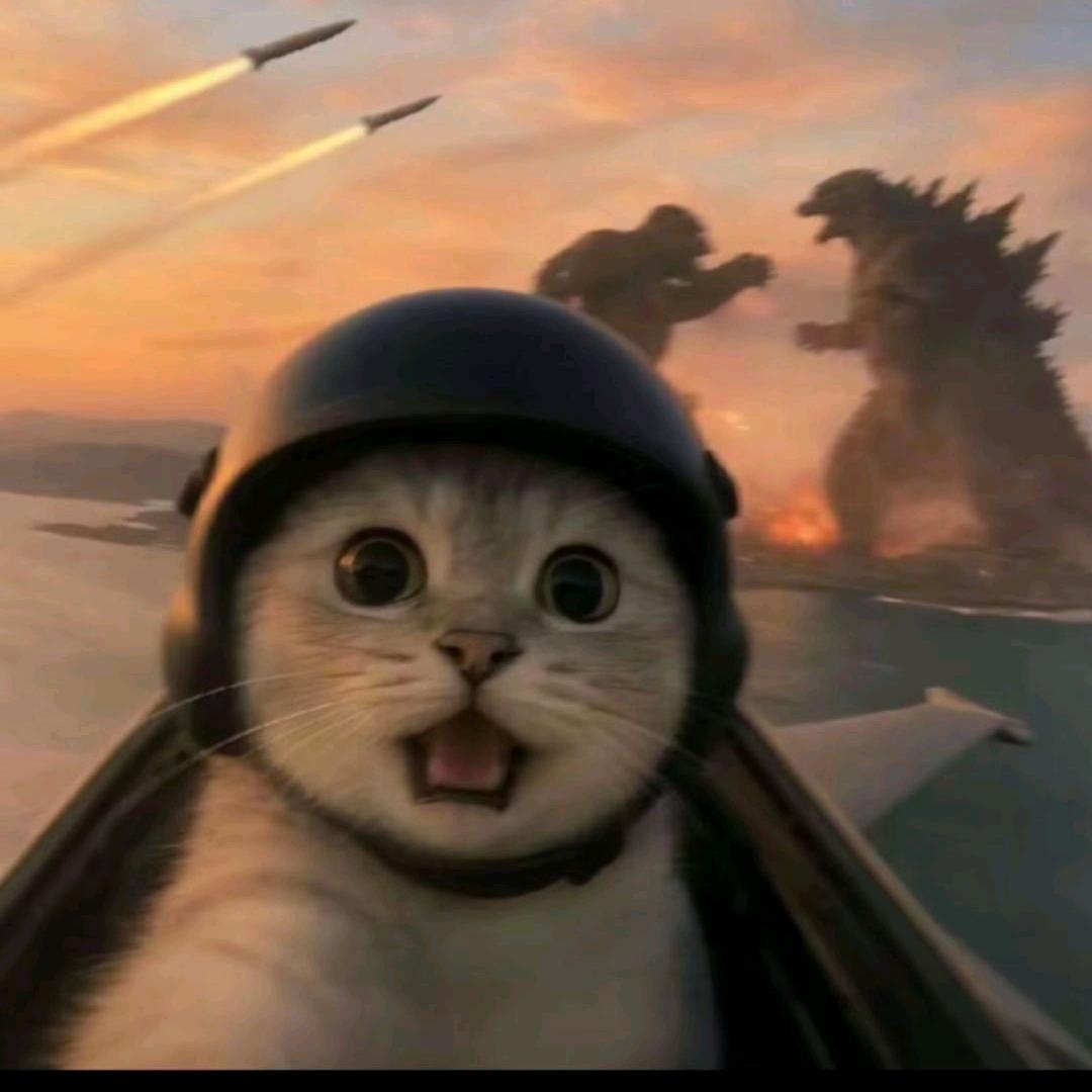 重生之我在大学城南亭做舒芙蕾