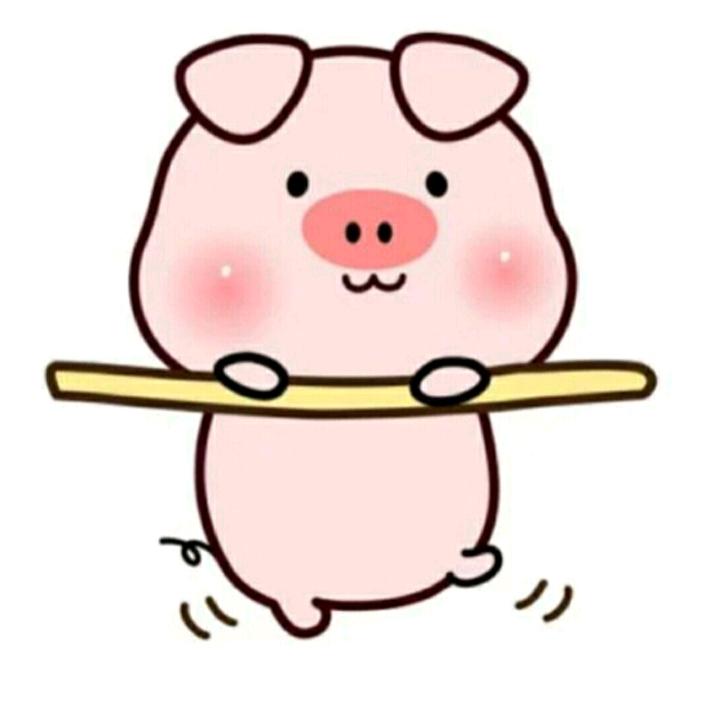 嘀嘀小猪🐽🍐