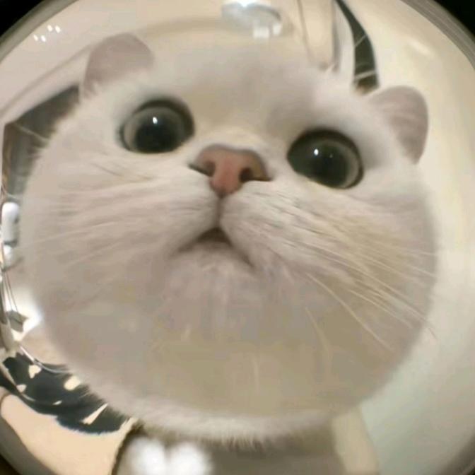 三格子
