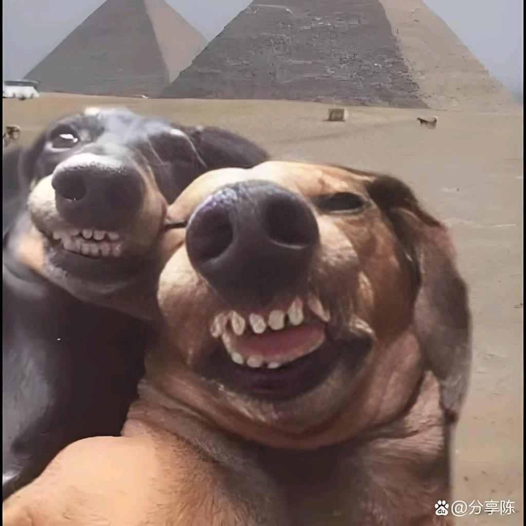 三哥与刘弟