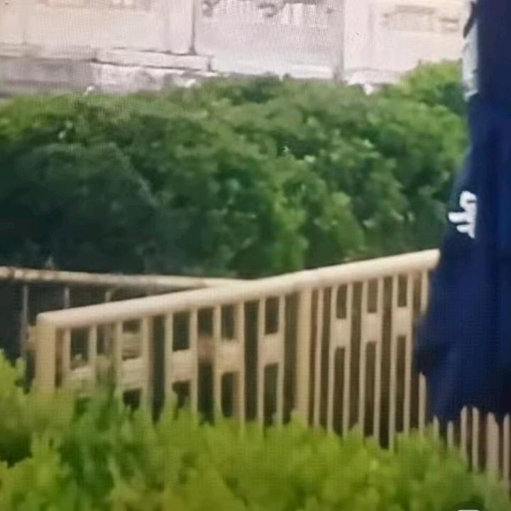 hui hui 慧