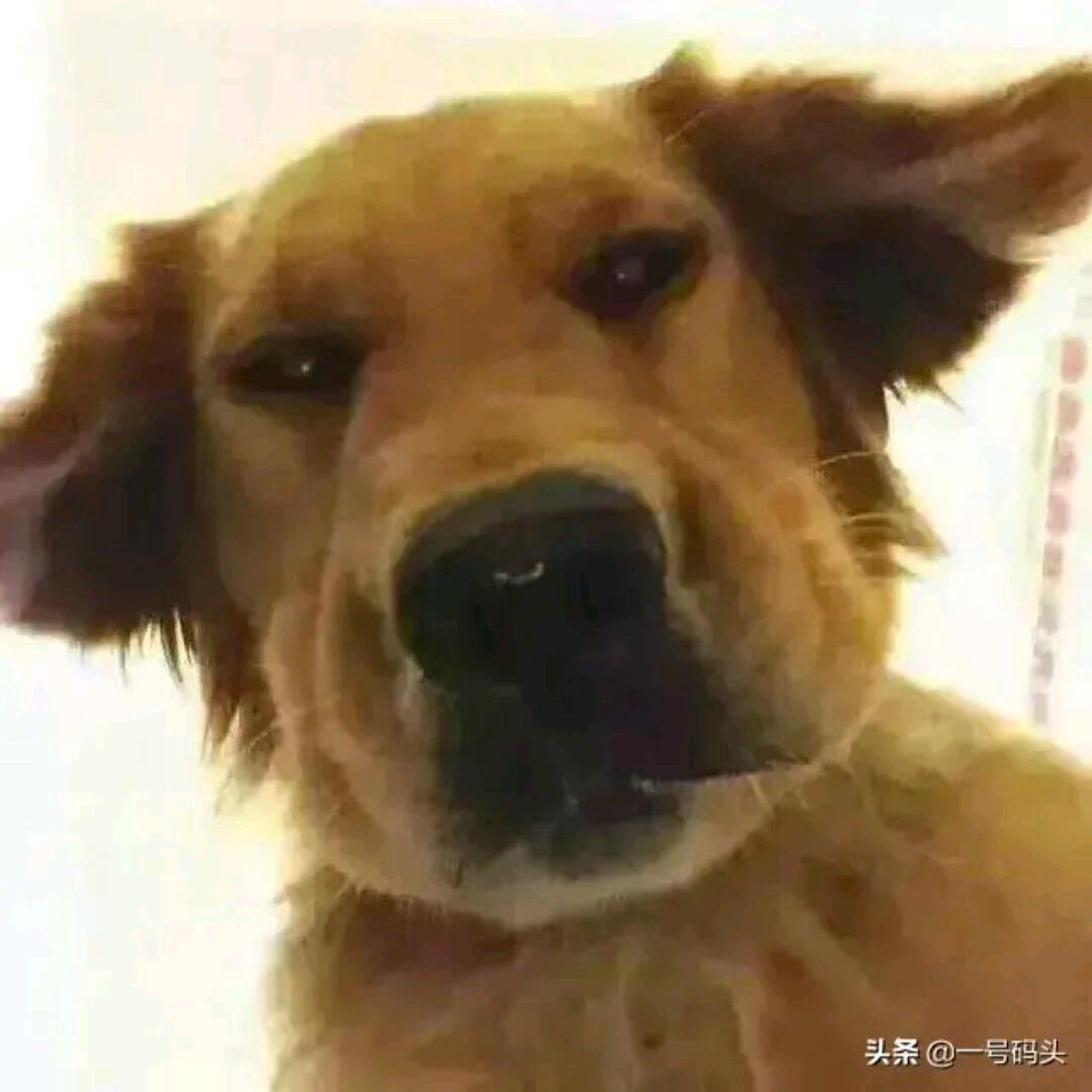 咳咳咳