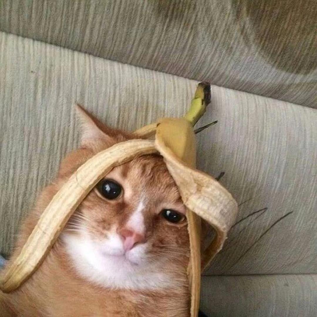 握不住的沙